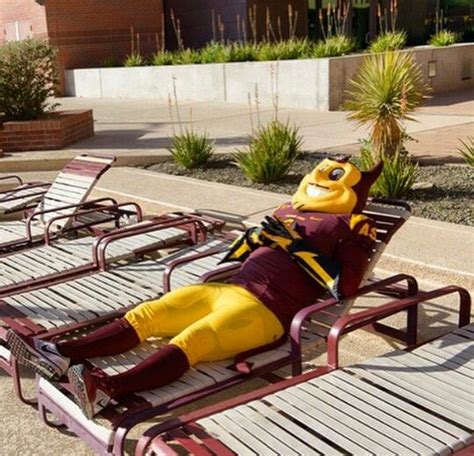 Sparky Arizona State University | Arizona state university, Arizona ...