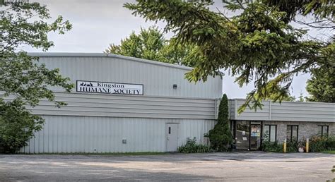 Kingston Humane Society low-cost spay-neuter clinic to open August 25