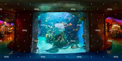 360° view of Bass Pro Shops Aquarium - Alamy