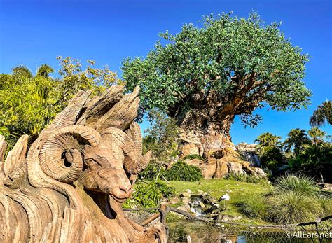 What You DIDN'T Know Was Carved into the Tree of Life at Disney's ...