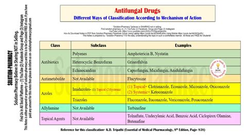 Microbiology 81 | Classification of Antifungal Drugs | Mechanism of ...