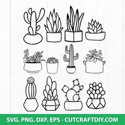 Succulent svg bundle, succulent clipart, cactus svg, plant svg, cacti svg