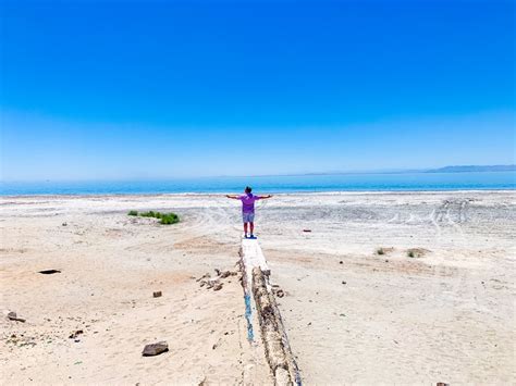 Salton Sea Documentary Sheds New Light on a Looming Environmental ...