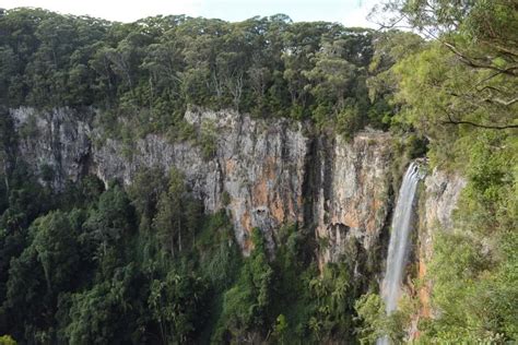 Chase 4 Waterfalls in 1 Day at Springbrook National Park - We Are Explorers