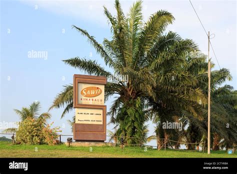 Langkon, Sabah, Malaysia: Signpost of Langkon Palmoil Mill (Kilang ...