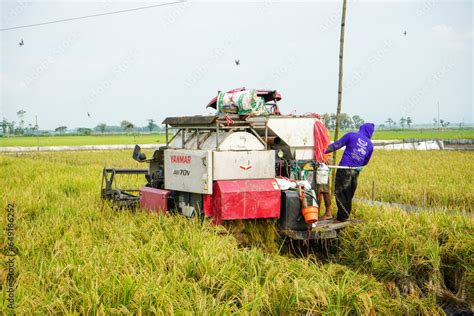 Pati, Indonesia - August, 2023 : Automatic rice harvester machine is ...