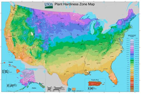 Planting Zones & Hardiness Zones | White Flower Farm