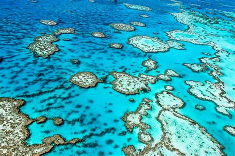 Great Barrier Reef Marine Park (Official GANP Park Page)