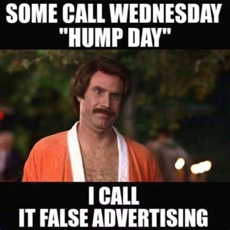 Funny Hump Day Memes to Celebrate Wednesday - Lola Lambchops