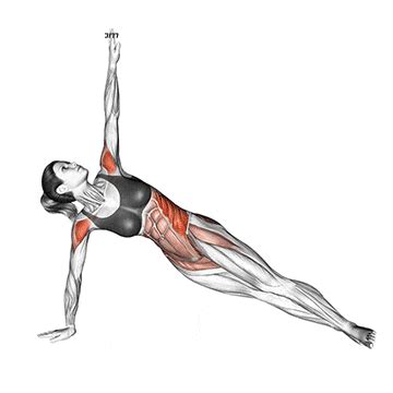 Side Plank Rotation: Muscles Worked, How to Do and Tips