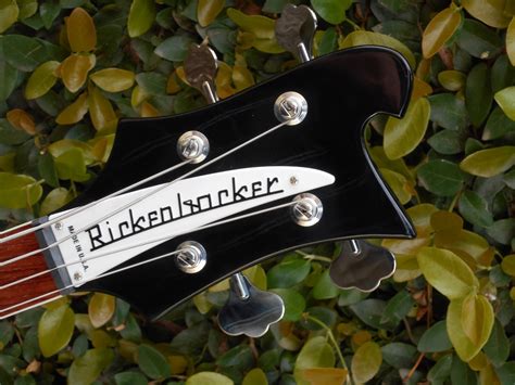 Rex and the Bass: 2015 Rickenbacker 4003 Bass Review