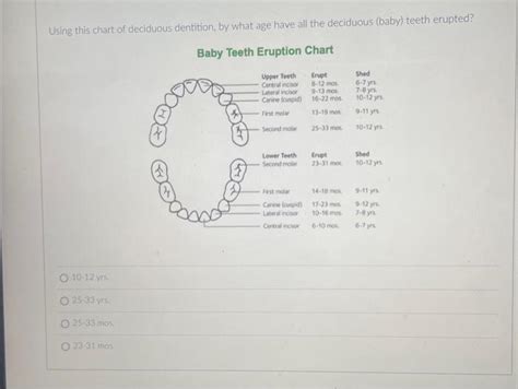 Solved Using this chart of deciduous dentition, by what age | Chegg.com