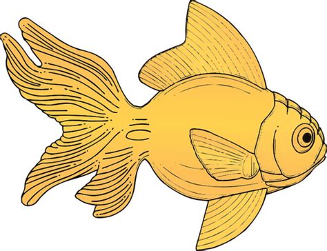 Generic orange fish vector illustration | Public domain vectors