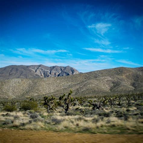 SPRING MOUNTAINS NATIONAL RECREATIONAL AREA (2024) All You Need to Know ...