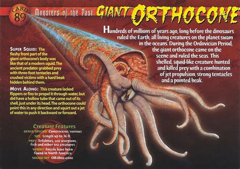 Giant Orthocone | Weird n' Wild Creatures Wiki | Fandom