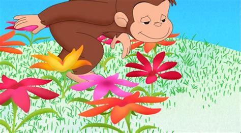 Catch the Fever! "Curious George Swings Into Spring" DVD Review ...