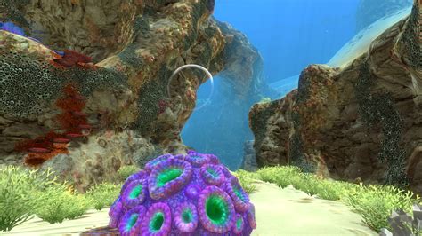 Image - Safe Shallows (30).jpg | Subnautica Wiki | FANDOM powered by Wikia