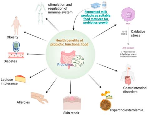 Fermentation | Free Full-Text | Dairy-Based Probiotic-Fermented ...