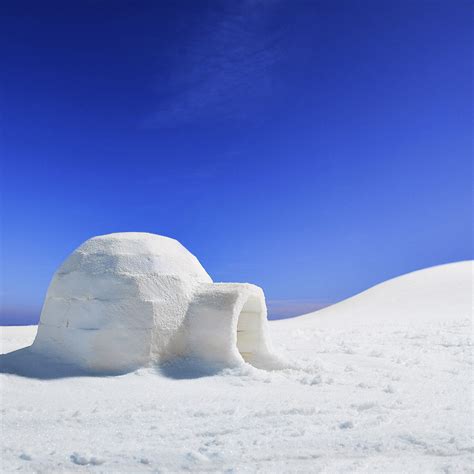 How do they Make an Igloo? | Pitara Kids' Network