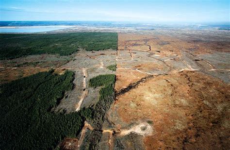 The Athabasca Oil Sands (i.e. "tar sands")... before & after. This is ...