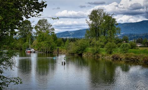 Alouette River Dykes Trail - South Arm Alouette River | Flickr