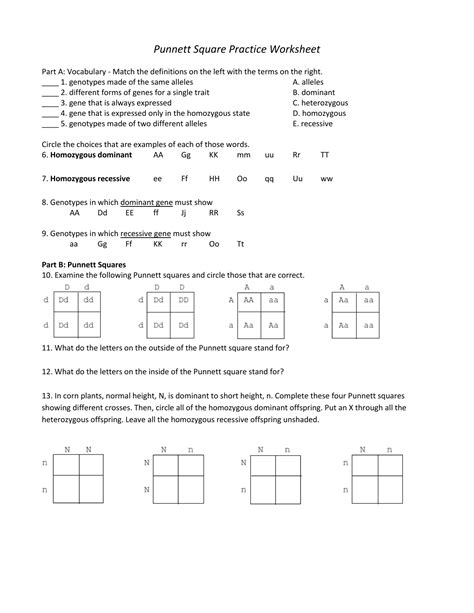 Free Printable Punnett Square Worksheet - Printable Calendars AT A GLANCE