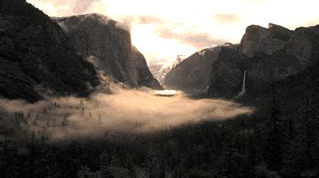 Foggy GIFs - Find & Share on GIPHY