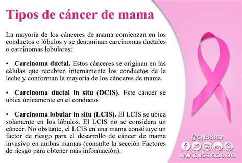 Fases Del Cancer De Mama