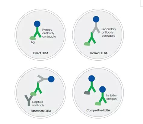 ELISA Protocol-Elisa Experiment Standard Operating Method | Medicilon