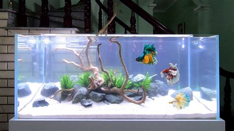 Fish Tank Decorations Diy