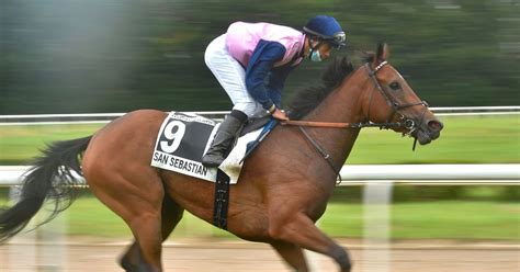 Venezuela: famoso caballo de carreras habría sido comido por personas