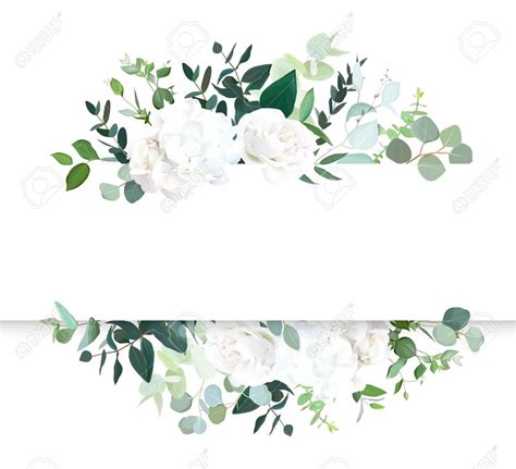 Wedding floral horizontal vector design banner. White rose and ...