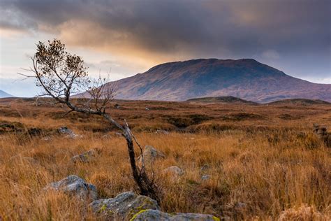 Across the Moorland | Taken in Scotland near Rannoch Moor. | Carl ...