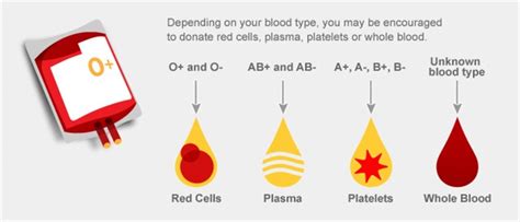 Blood Donors - Arpan Blood Bank