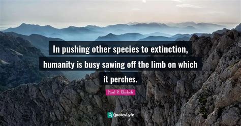 In pushing other species to extinction, humanity is busy sawing off th ...