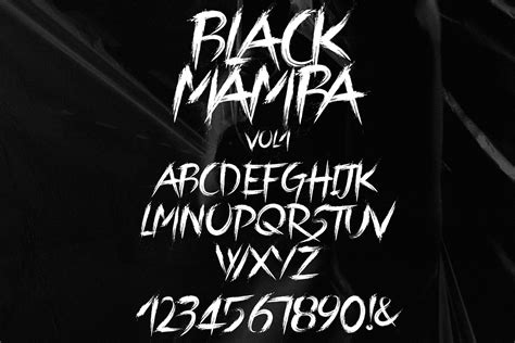 Black Mamba Vol.1 Brush Font