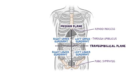 Abdominal quadrants, regions and planes: Video | Osmosis