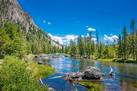 A Camper’s Guide to Fishing Along West Yellowstone’s Madison River