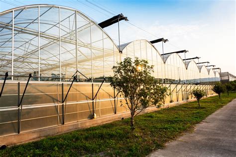 Focus on greenhouse construction and safe operation | AUSVEG