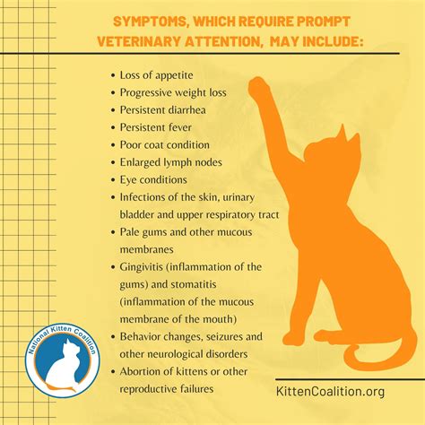 2 - National Kitten Coalition