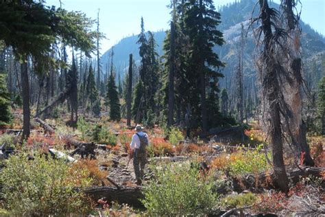 Among the wilderness: Hiking the Lakes in Sky Lakes | Outdoors ...