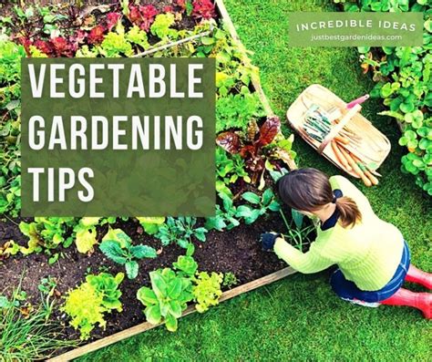 Home Vegetable Gardening Tips - Best Garden Ideas