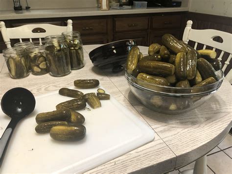 Pickle Day! : r/fermentation