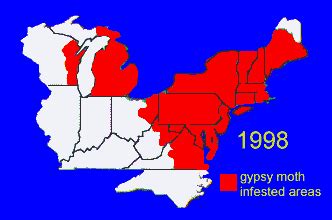 Alien Invasion: The Gypsy Moth Time Line In North America | EEK WI