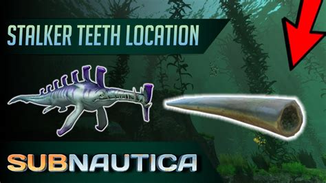 How to get Stalker Teeth in Subnautica. (UPDATED) - YouTube