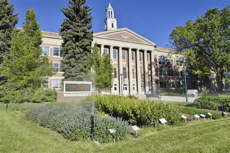 Colorado State University: Acceptance Rate, SAT/ACT Scores, GPA