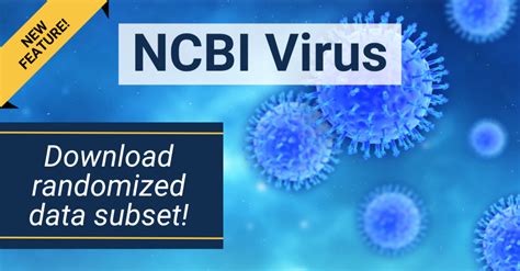 Download Randomized Data Subset from NCBI Virus - NCBI Insights