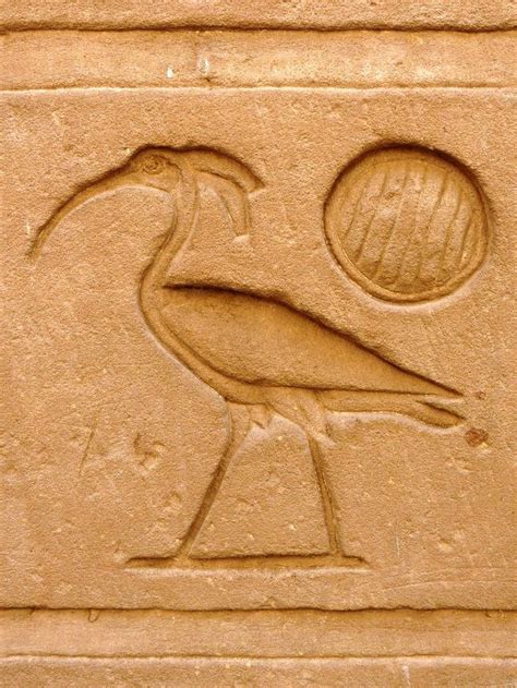 Ibis hieroglyph | Arte egipcio, Arte del antiguo egipto, Egipto antiguo