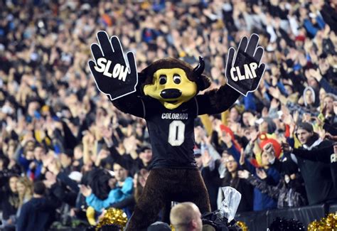 Colorado Buffaloes mascot Chip wrecked by T-shirt cannon misfire – The ...