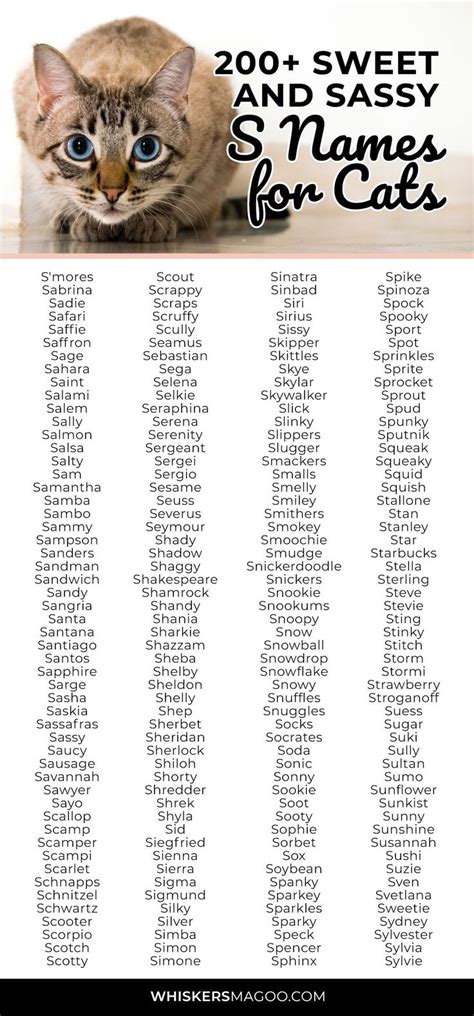 200+ Sweet and Sassy S Names for Cats - Whiskers Magoo | Cute cat names ...